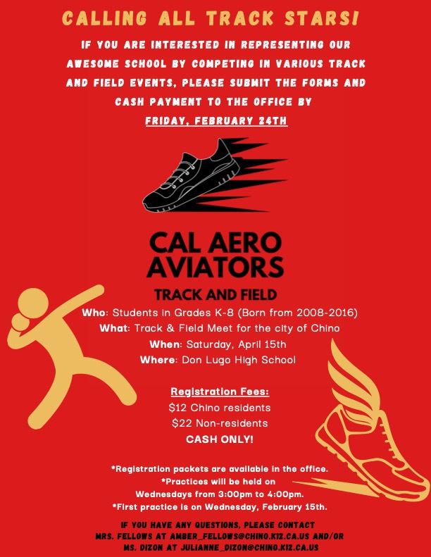 Track Flyer